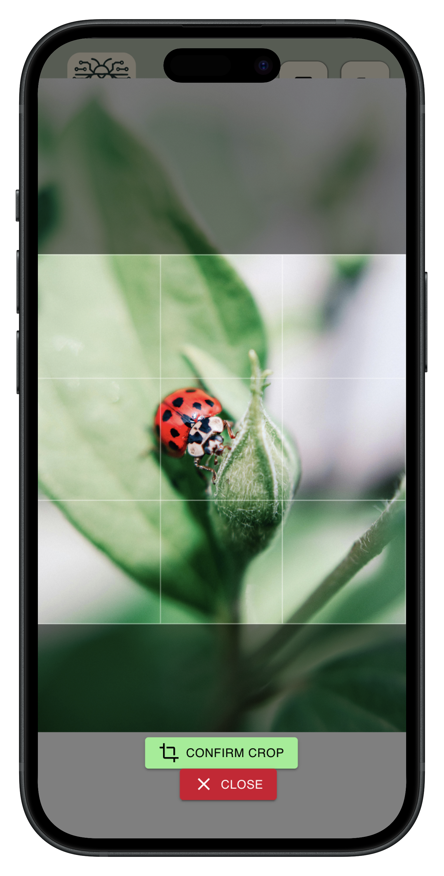 App Mockup 1