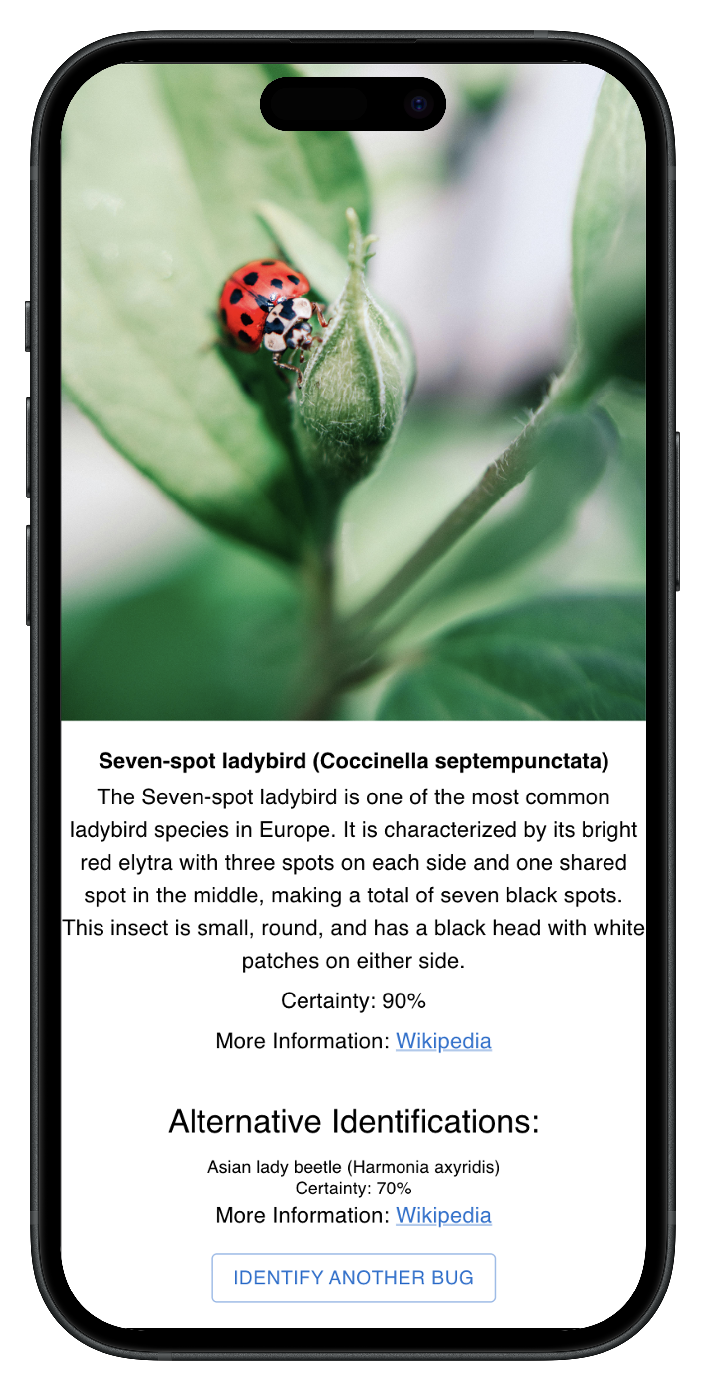 App Mockup 3